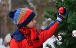 Ein Kind bestaunt einen geschmückten Weihnachtsbaum im Schnee.