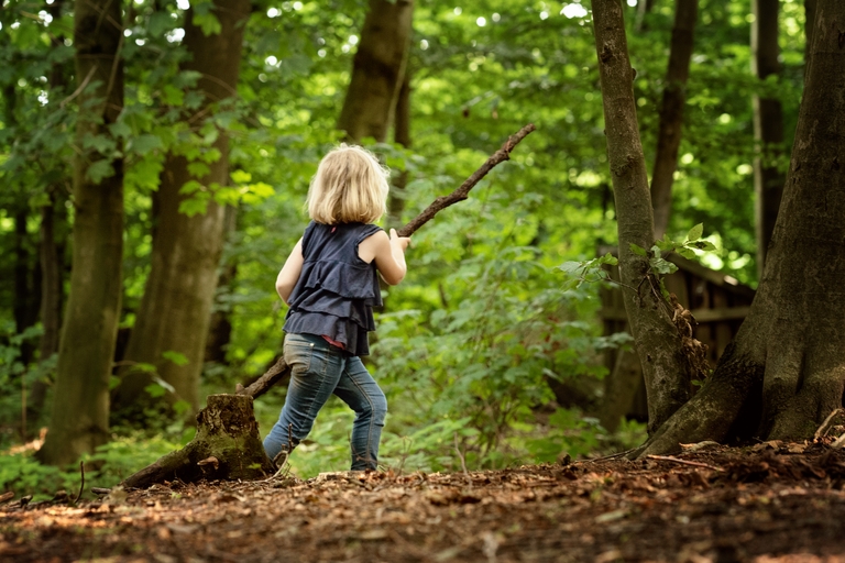 Ein Kind trägt einen großen Ast durch den Wald.