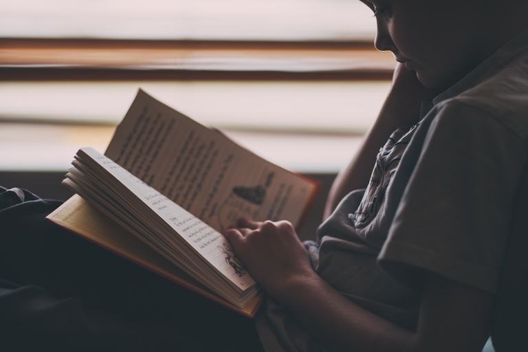 Ein  Junge liest ein Buch.